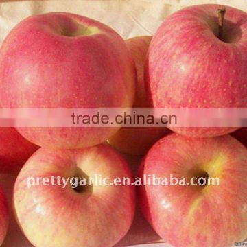 Yantai Fuji apple