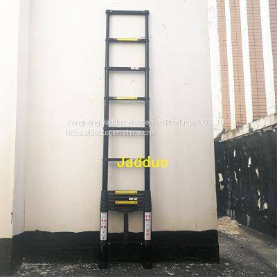 Black Single Ladder