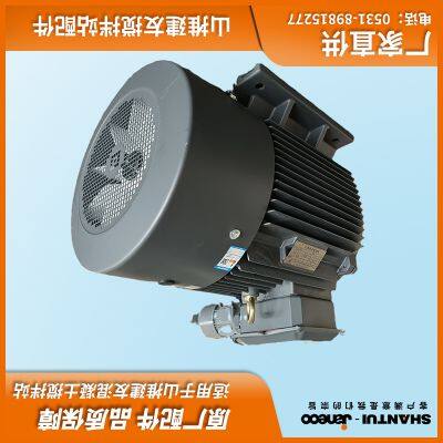 SHANTUI JANEOO Concrete Mixer Motor 37KW 55KW Y2-250M-4-B3 P55 photo-3