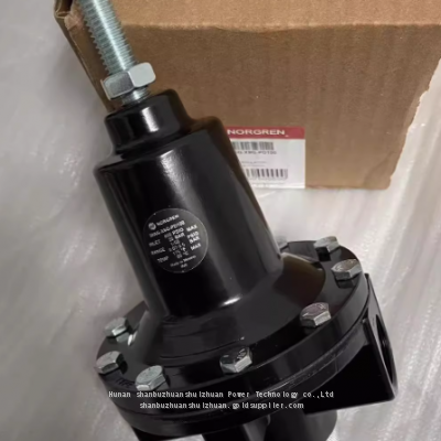 20AG-X8G-PD100, Norgren, Pressure Reducing Valve, G1' Thread photo-2