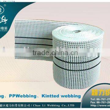 CL220 White Webbing