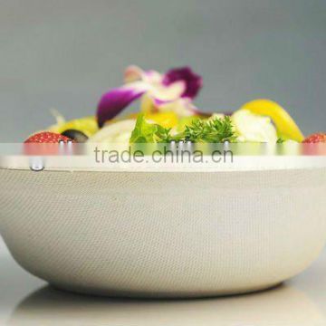 Disposable Bowl