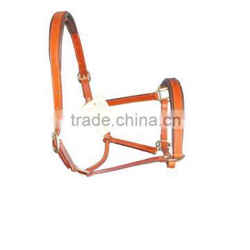 halter 3/4 Inch Double Buckle Crown Padded & Noseband Padded Throatlash Rooled with Snap 6/8 Inch