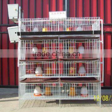 Full Automatic Welded Wire Mesh Chicken Breeder Cages photo-3