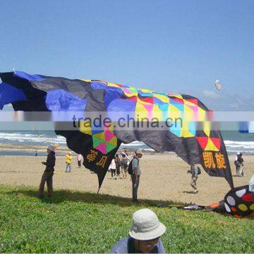 beach banner kite from kaixuan China