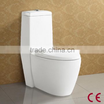 Elegant Floor Stand Wash Down CE Water Closet