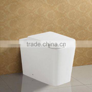 Floor Mounted Ceramic Washdown Water Closet