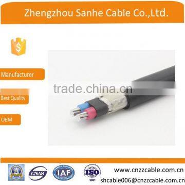 Aluminum 8000 XLPE Insulated Concentric Cable photo-2