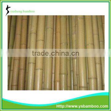Bamboo Fencing Poles