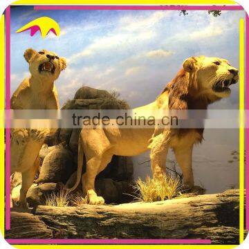 KANO0139 Theme Park Real Size Artificial Realistic Fake Fur Lion photo-4