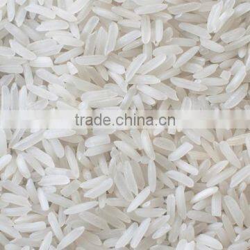 Gujarat 17 Rice