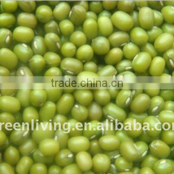 sell chinese dried green mung bean(2011 new crop)