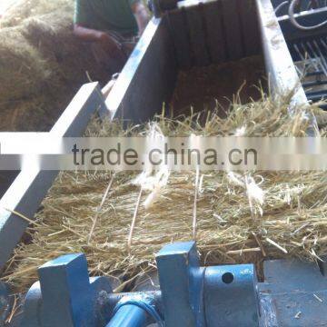 Rhode Grass Hay photo-6