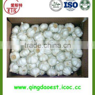 IQF frozen garlic in loose or small packing