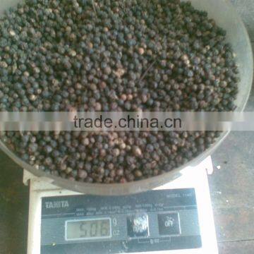 VIETNAM HIGH QUALITY BLACK PEPPER