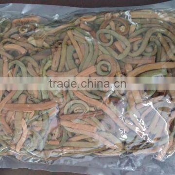 price for osmund high quality of osmunda cinnamomea Japan osmunda cinamomea