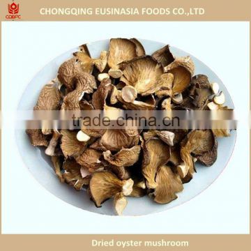 Grey dry oyster mushroom