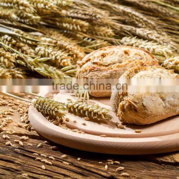 supply food ingredients and additives malt extract in baking products