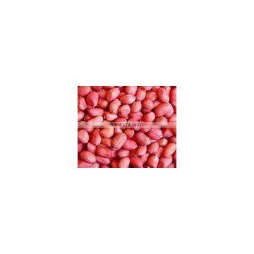 Red skin Pea nut