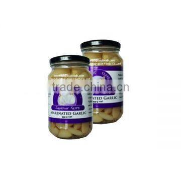 Fresh garlic allium sativum