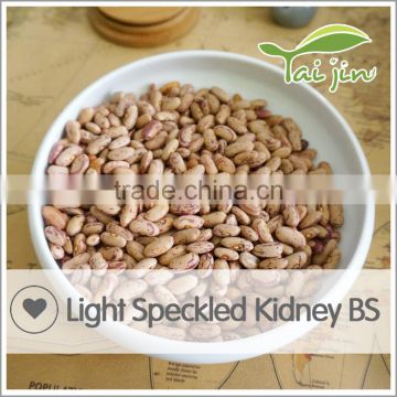 Hot sale borlotti bean for canned