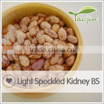 Export mottled bean with cheap price