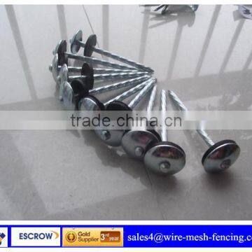 galvanized Umbrella Head Roofing Nails