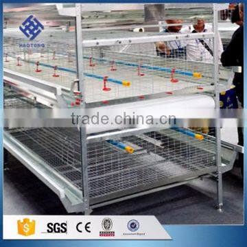 30 Years' Factory Supply Baby Chicken Cage in Shandong photo-4