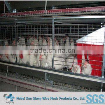 uganda layer farm chicken cage for sale/design layer chicken cage for poultry farm