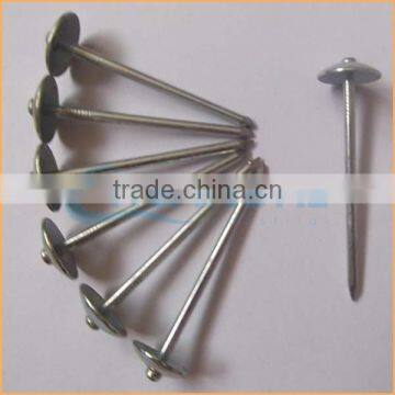 Top quality umbrella head thread roofing nail trusted Chuanghe suppliers from alibaba com