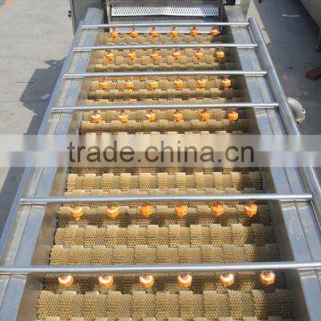 Fruit Vegetable Orange Lemon Brush Roller Washing Machine Washer photo-2