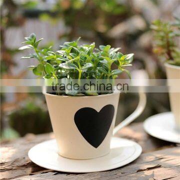 Colorful Garden Plants Small Decoration Metal Flower Pot photo-3