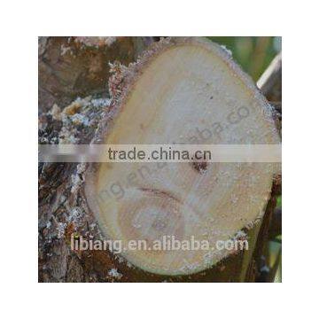 Long Wooden Handle Garden Saw photo-5