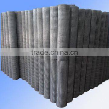Electric Galvanized Welded Wire Netting Factory Price photo-2