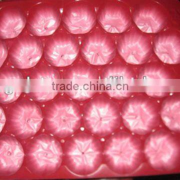 Factory Directly Eco-friendly Colorful PP Plastic Thermal Food Container photo-5