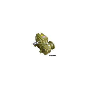 Worm Gear Reducer