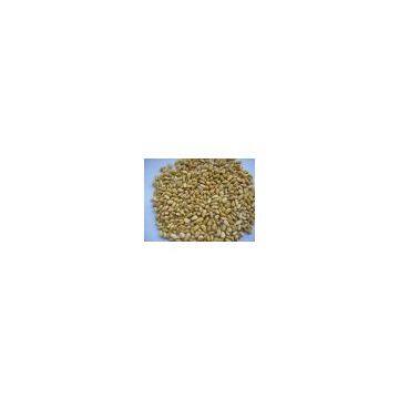 sell pine nuts/pine nut/pine nut kernel