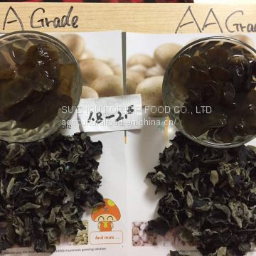 Factory Price Northeast Dried Black Fungus/Auricularia Auricula Grade AA & Grade A (Size:1.8-2.5cm,2.5cm above)