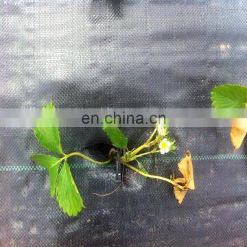 Anti uv Plastic Agricultural Woven pp Weed Control Mat photo-6