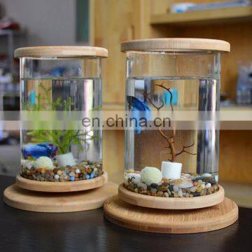 Desktop Eco Bottle Creative Office Tempered Glass Micro Landscape Tank Rotating Bedroom Fish Tank Fish Tank Mini Small photo-3