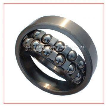 SKF 2206 E-2RS1TN9/W64 Self Aligning Ball Bearings