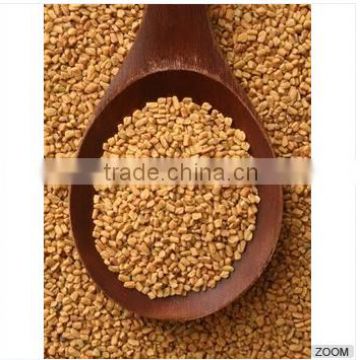 Fenugreek Seeds