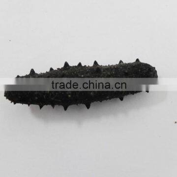 Best price of natural sea cucumber/trapang,Dried ea Cucumber