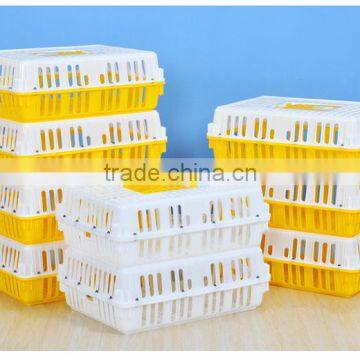 plastic chicken transport crates