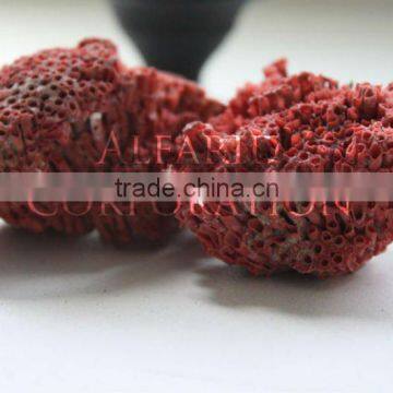 Sea Red Coral Stone Raw Natural