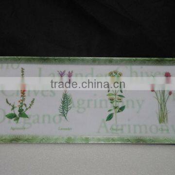 Rectangle melamine trays for harvest day