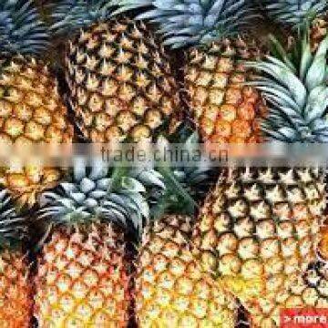 Canned Pineapple in Light Syrup photo-2