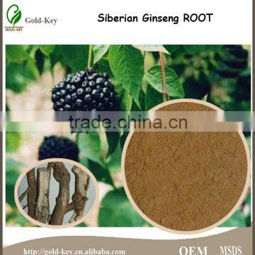 St. John's Wort Root Part Extract With 0.3% Hypericin UV photo-4