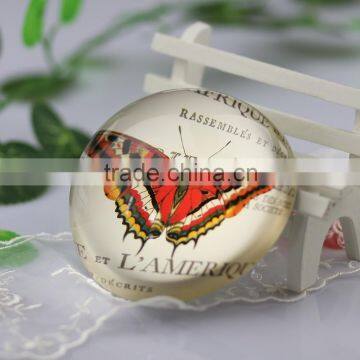 Precious Crystal glass Dome Paperweight shap-08