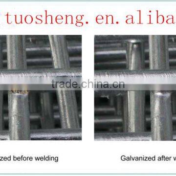 EU market airport fence (PVC or hot galvanized)/hebei tuosheng